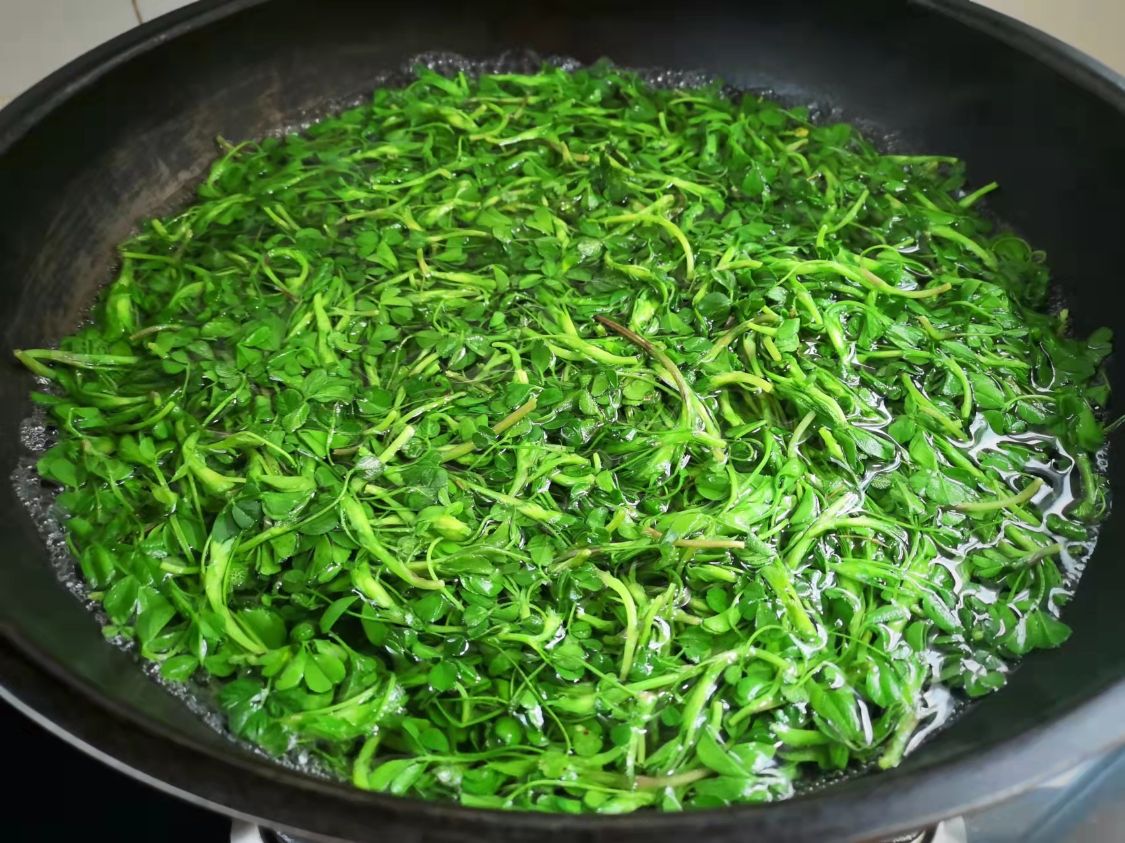 阳春三月必吃的野菜,阳春三月野菜成餐桌新宠