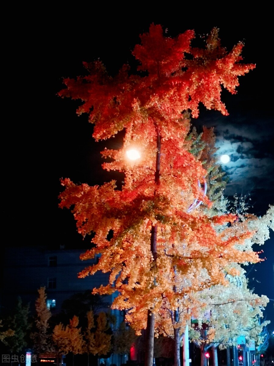 李兰芳歌曲国外翻唱,李兰芳视频大全