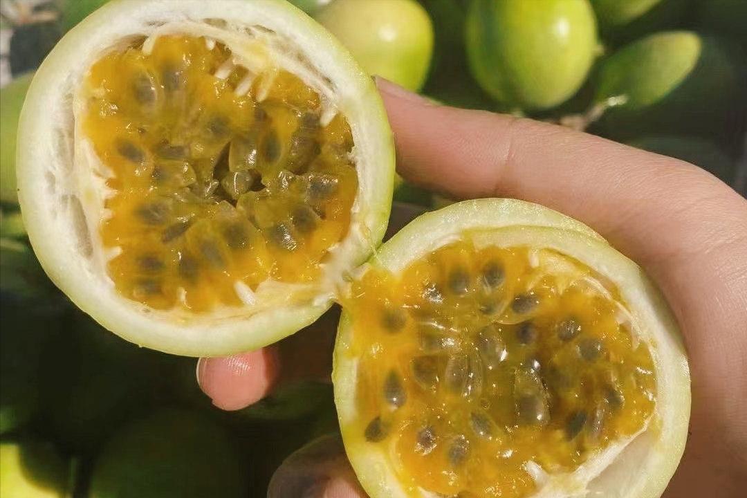 云南百香果和广西百香果哪个好,百香果最多的产地是广西哪里