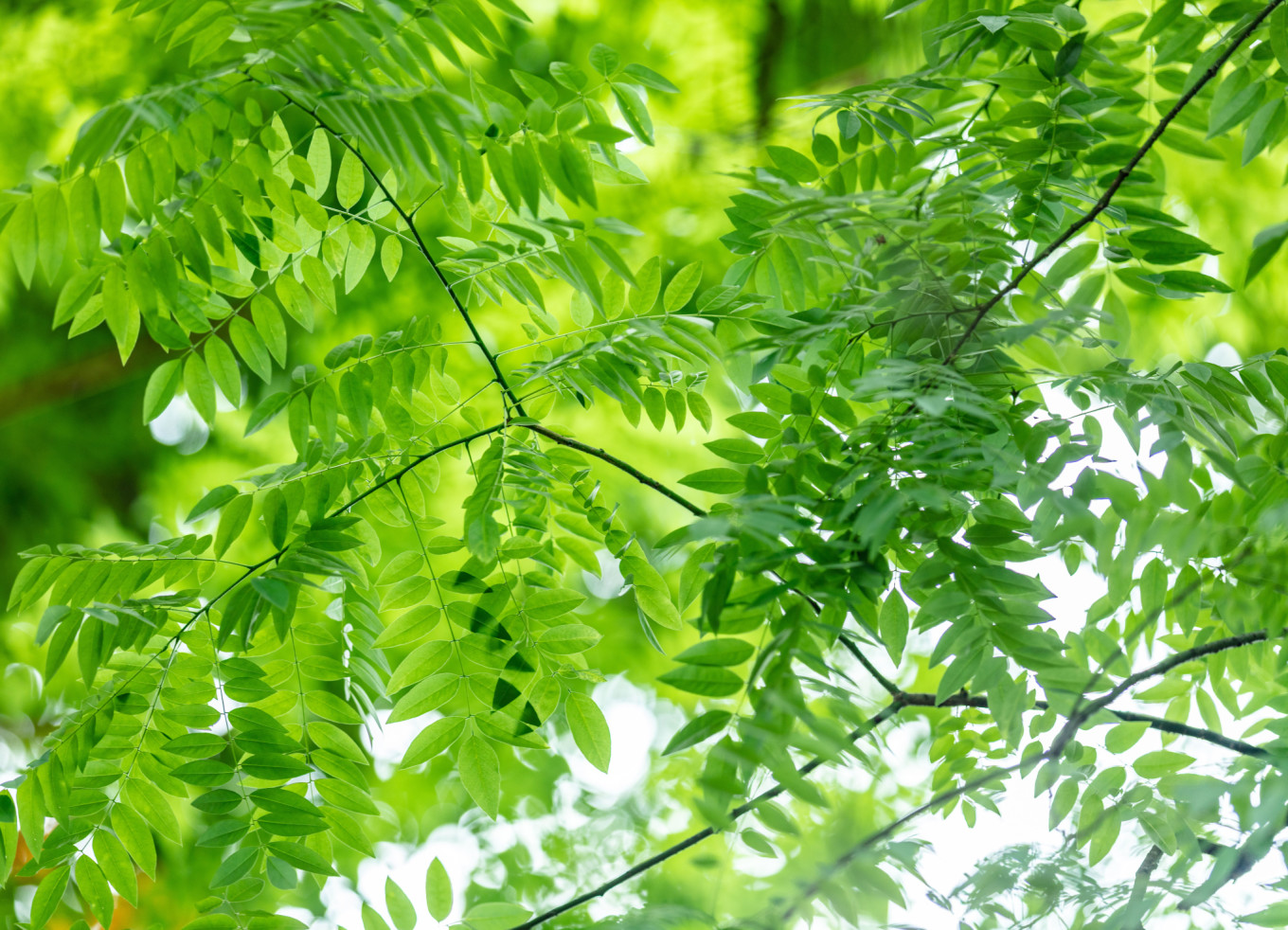 宜春冬天风景,关于江西宜春美景