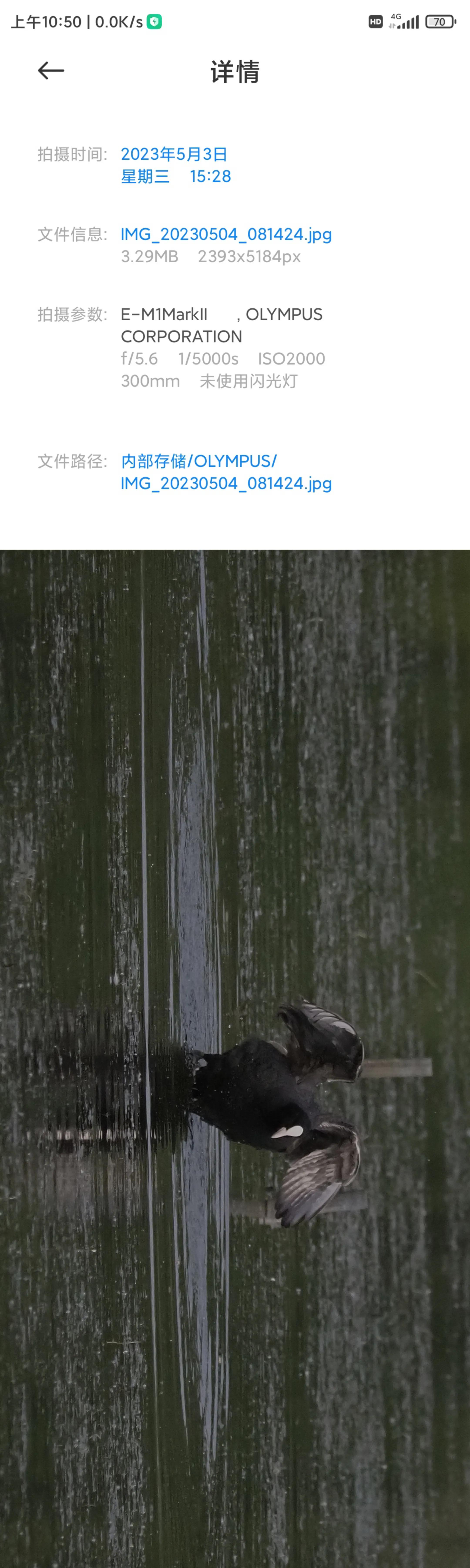 带防抖的长焦镜头500块,防抖长焦镜头推荐500元以下