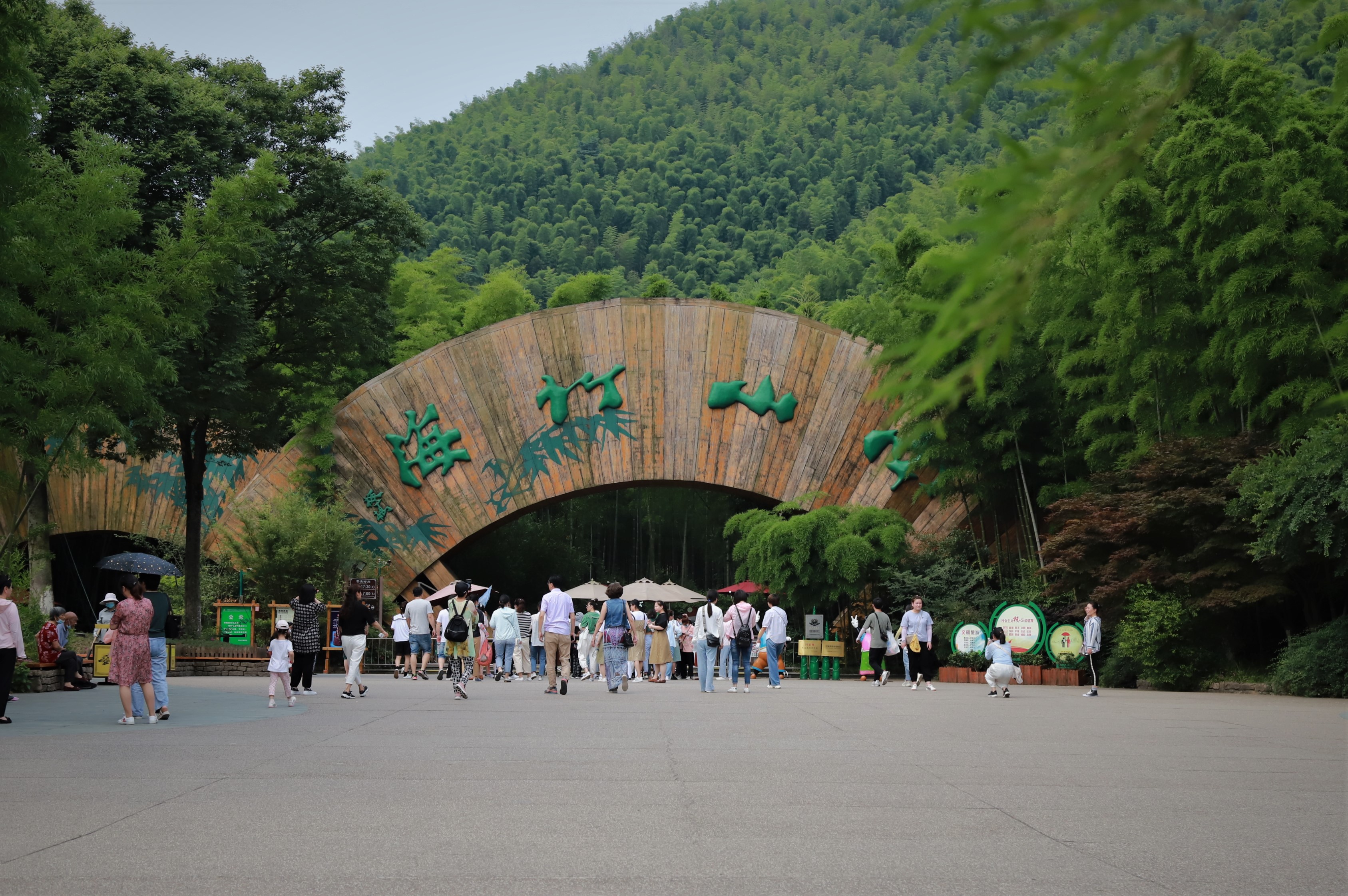 南山竹海自驾线路怎么走,去南山竹海旅游攻略路线推荐
