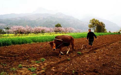 今后户籍政策会允许非转农吗,农转非户口有什么新政策