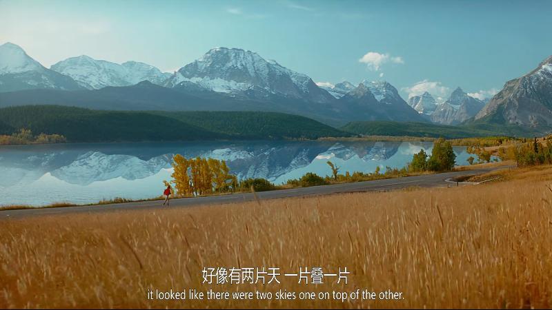 阿甘正传就是一碗毒鸡汤,阿甘正传一个傻子的开挂人生