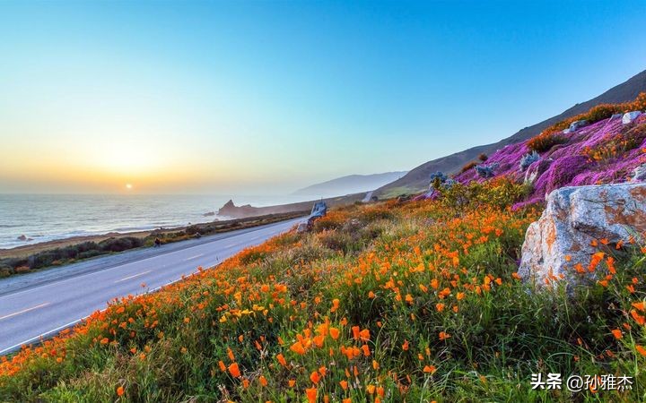 明亚保险经纪公司做什么产品,明亚保险经纪和明亚基金