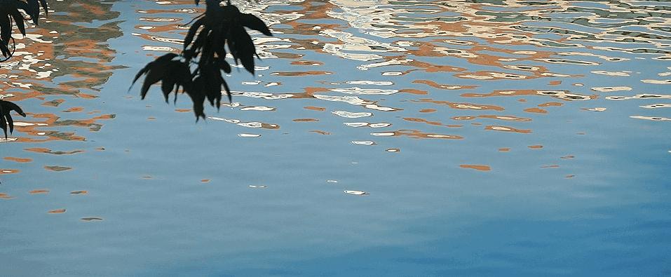 新年第一天，我去打卡一间森林里的美术馆