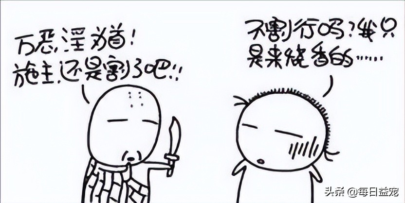 狗狗要绝育了需要注意什么,狗狗一定要绝育吗