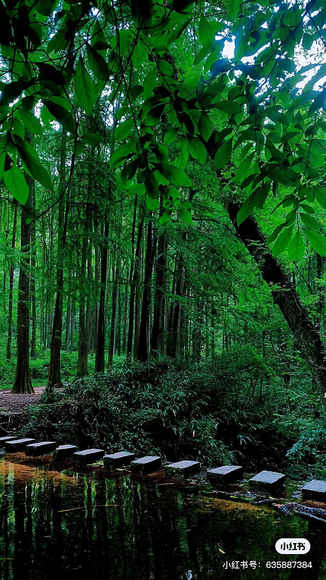 信阳南湾湖一日游详细攻略,信阳三日游攻略
