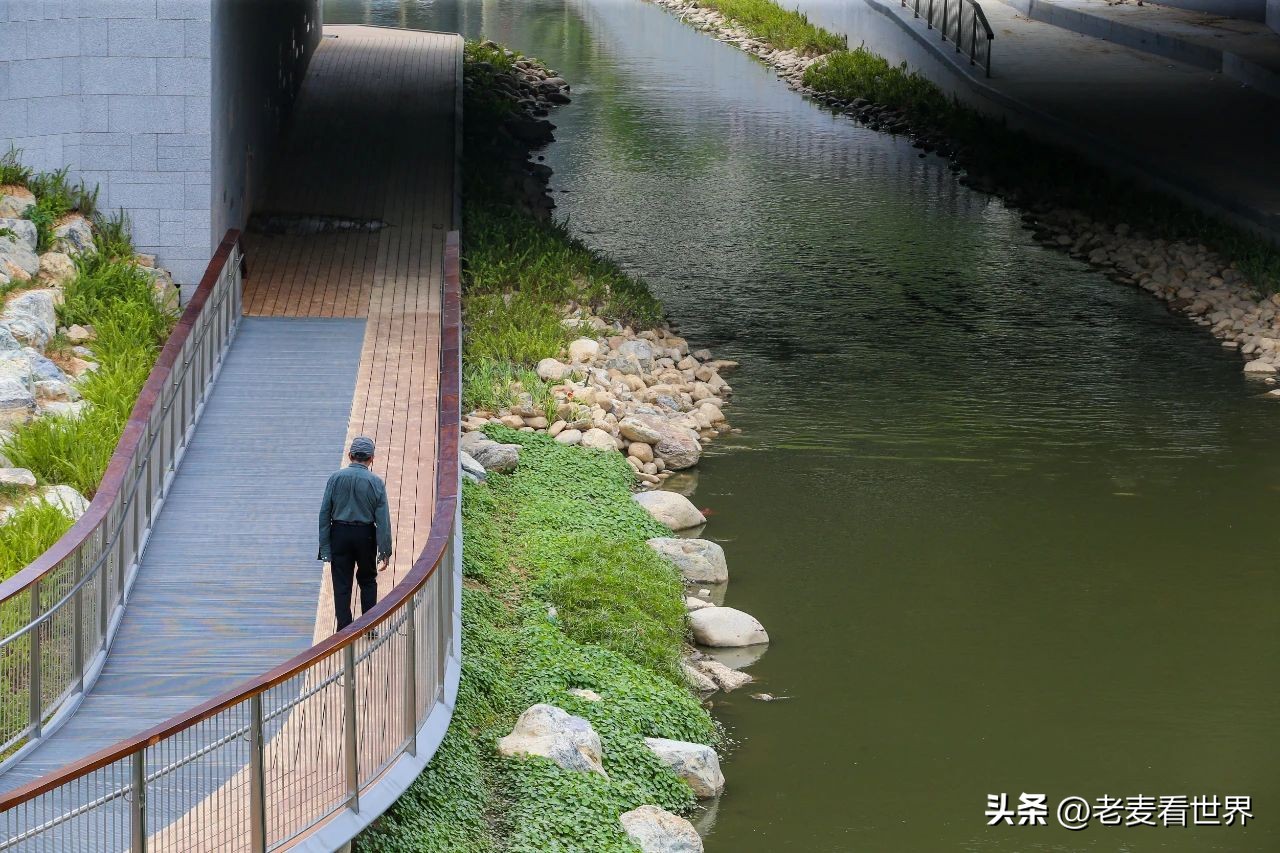 打卡公园东莞游玩攻略,东莞森林公园攻略