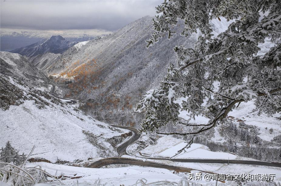冬日青海的美，只有去过的人才知道