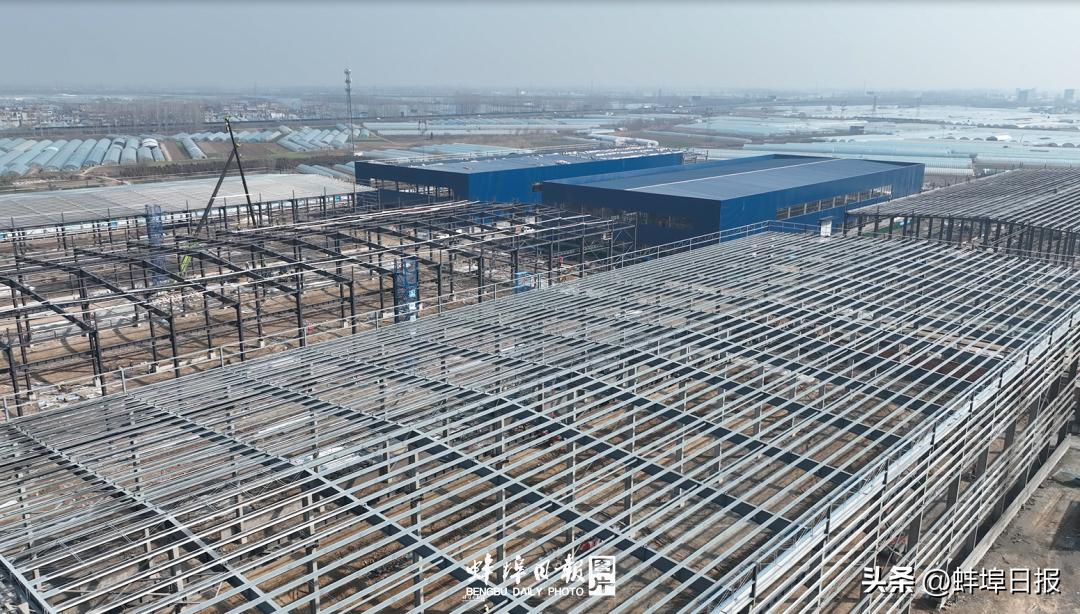 怀远领导高东升,怀远高东升的贡献