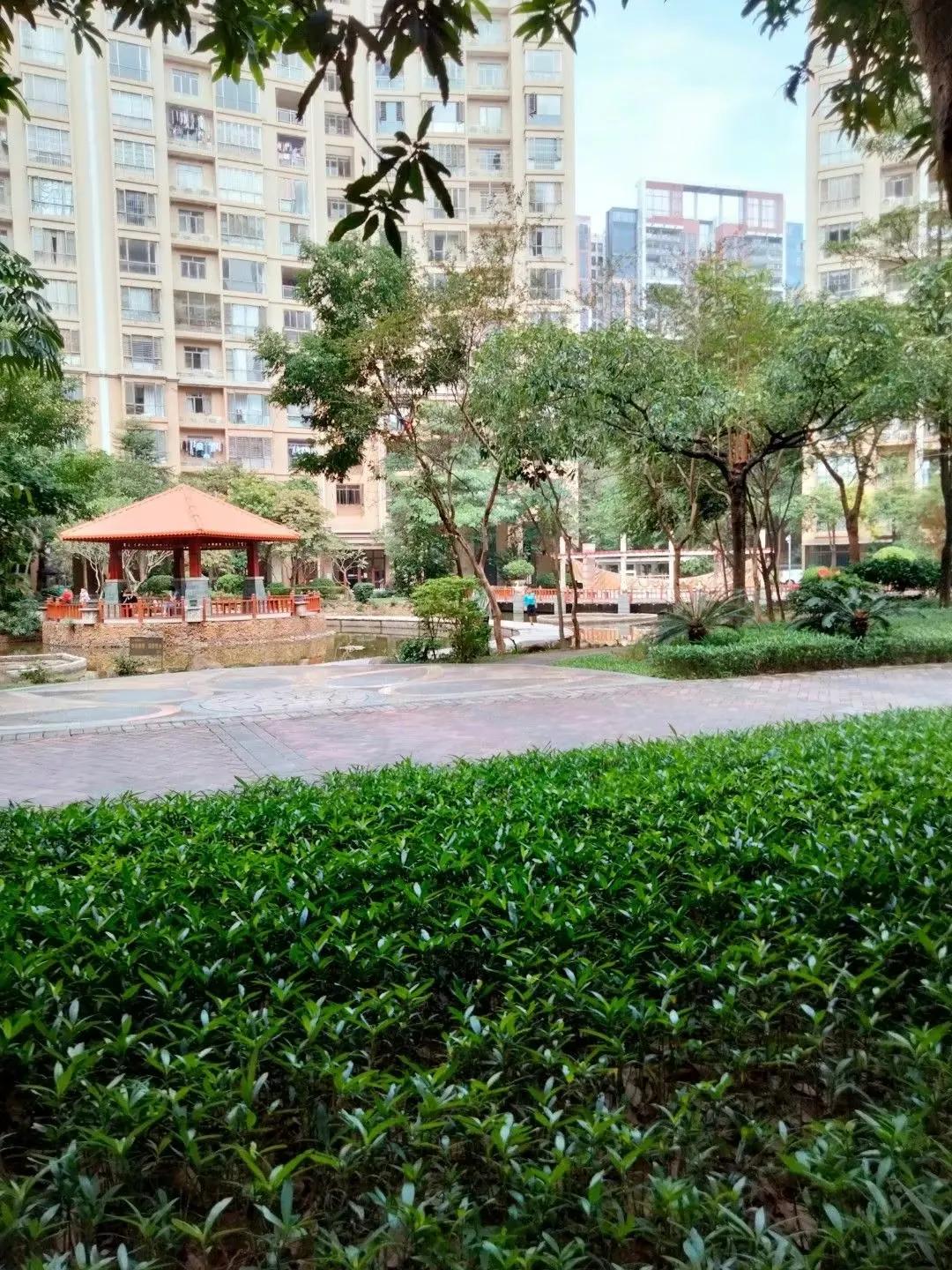 全国青少年阅读风采展示活动参赛,青少年阅读风采大赛全国