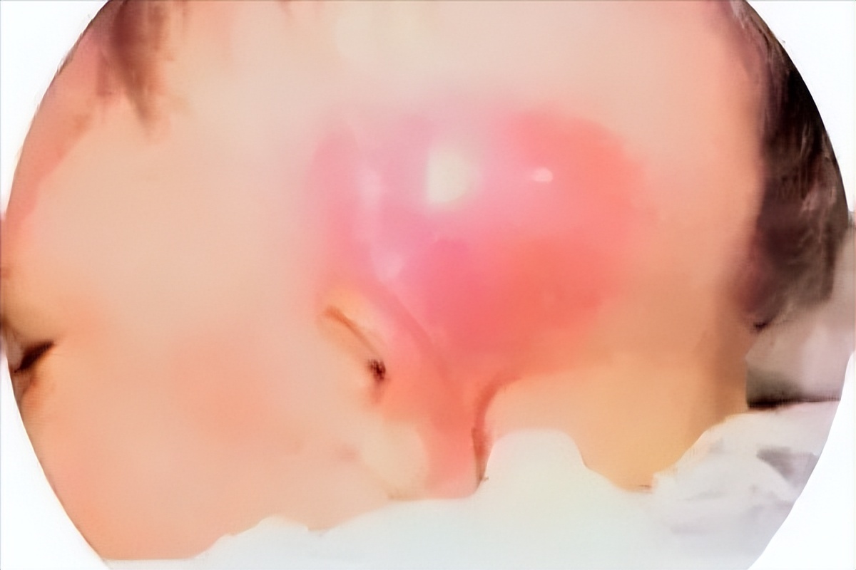 小石头学习法,小石头学武功