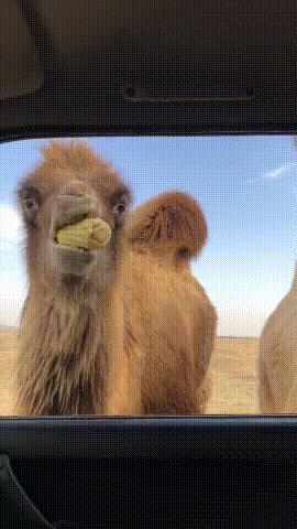 走路走累了躺下歇一歇,走路走累了坐地上