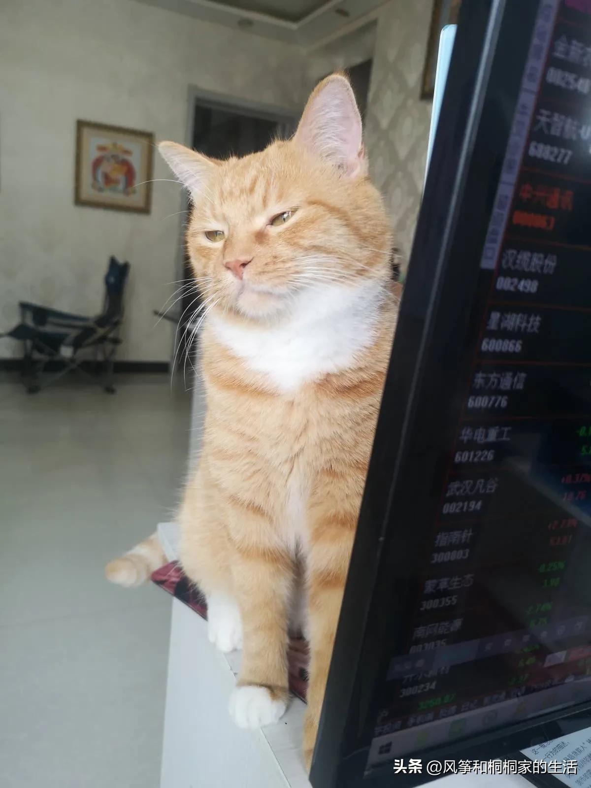 一两千的耳机就是智商税吗,耳机贵的便宜的有什么区别