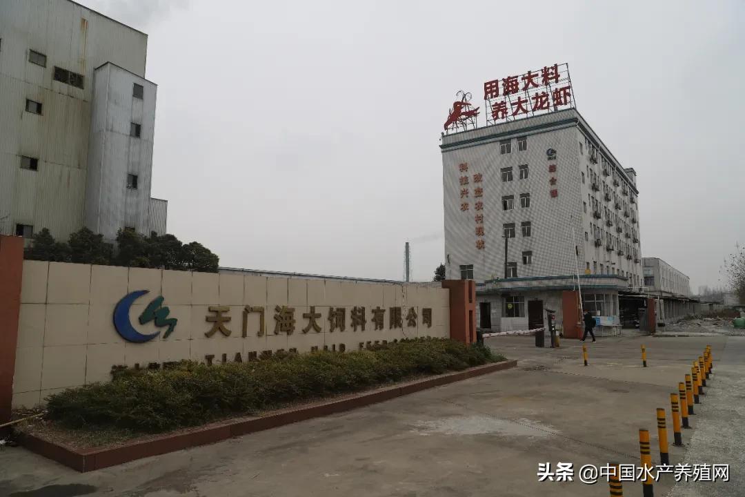 海大孙俊：小龙虾饲料未来3倍增长空间养户挣钱须关注三大核心