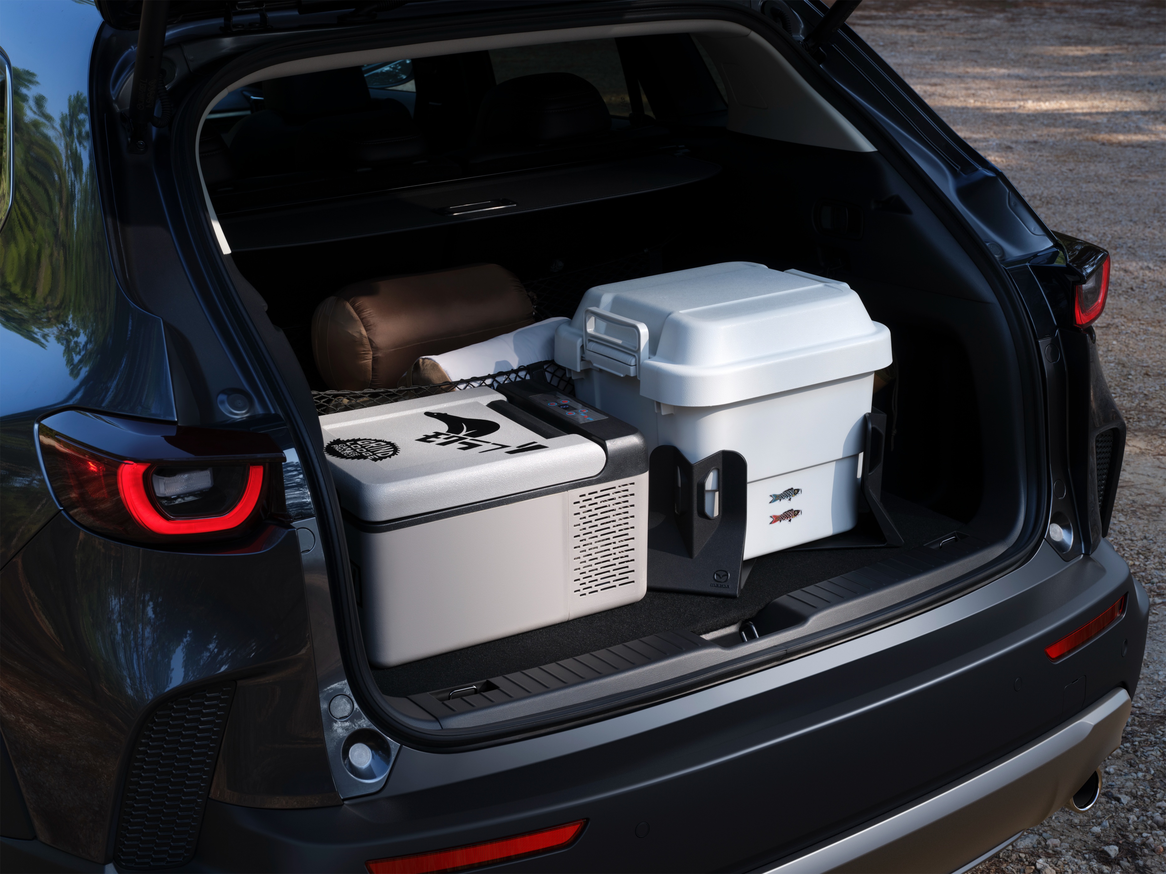 马自达燃油车迎来降价潮,油车销量锐减