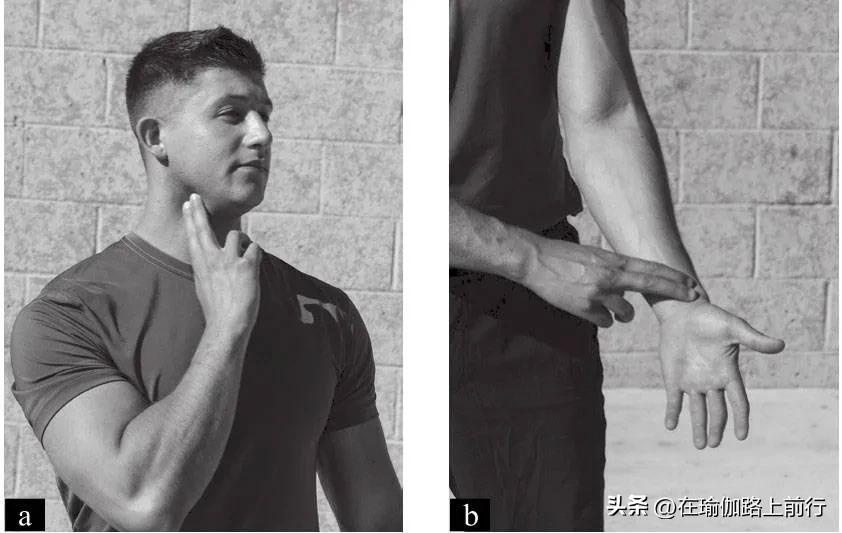 fitt原则美国,fitt原则运动