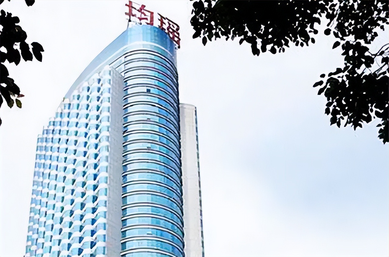 中国包机第一人王均瑶,中国富豪王均瑶