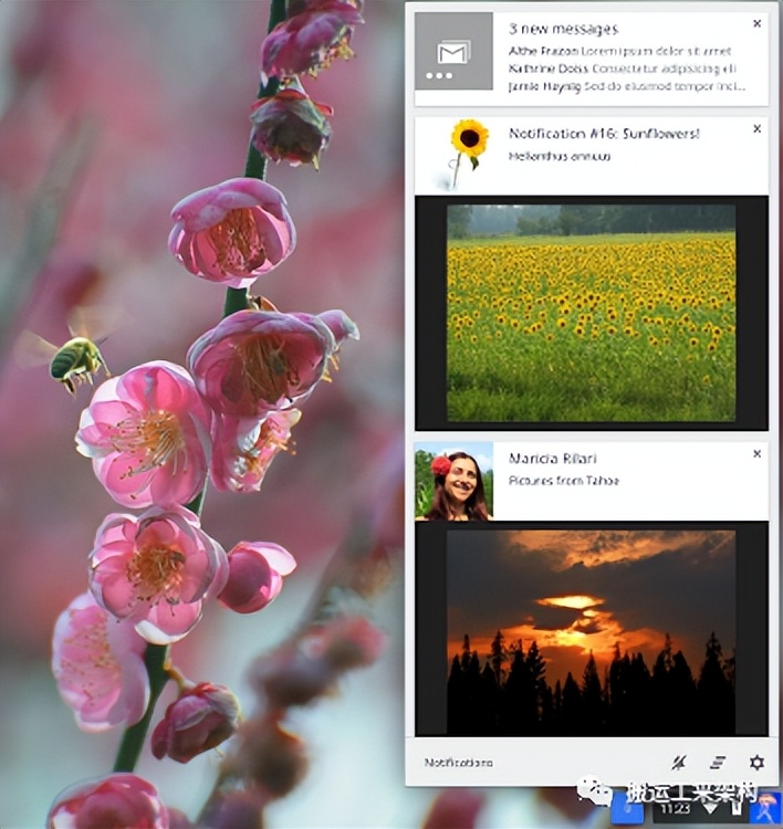 【干货】Chrome插件,扩展开发全攻略,看这篇就够了!