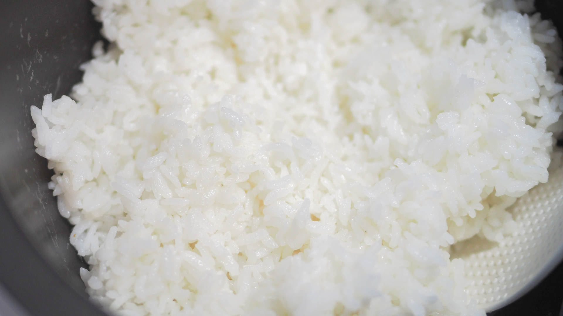 厨艺越差越要好装备|东芝电饭煲10LTC