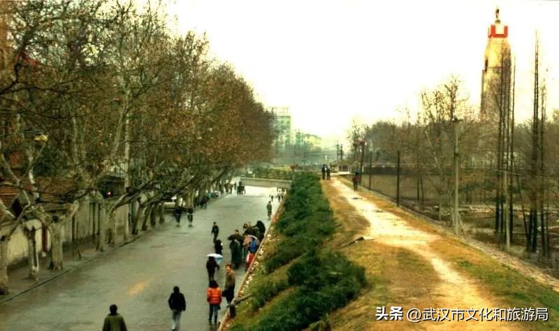 汉口江滩上新太阳能座椅,最近的江滩