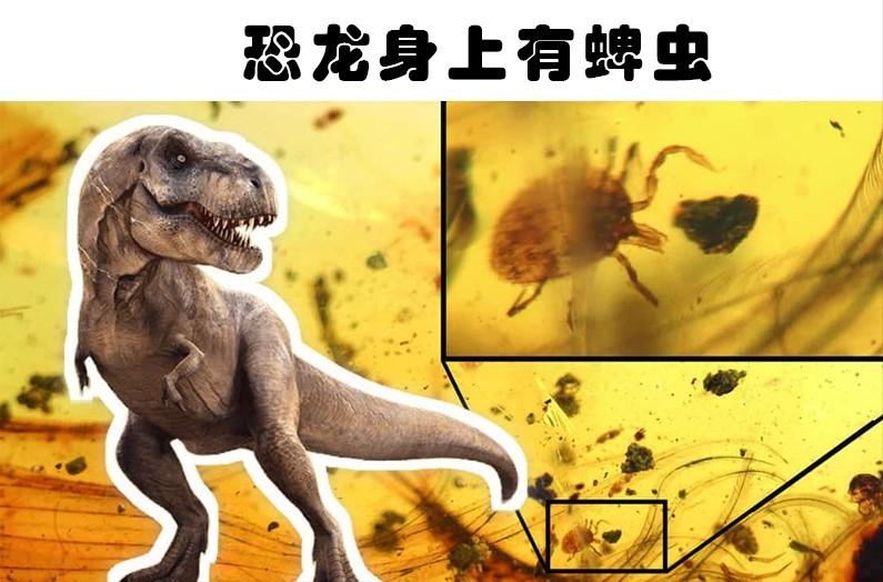 盘点十种能秒杀霸王龙的恐龙,十大比霸王龙厉害的恐龙