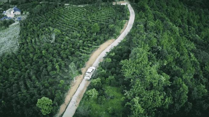 罗振宇创业行业,罗振宇2024乐观者