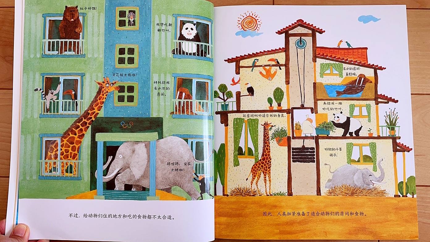 「月小虾的绘本之旅」｜0076「动物奥运会」
