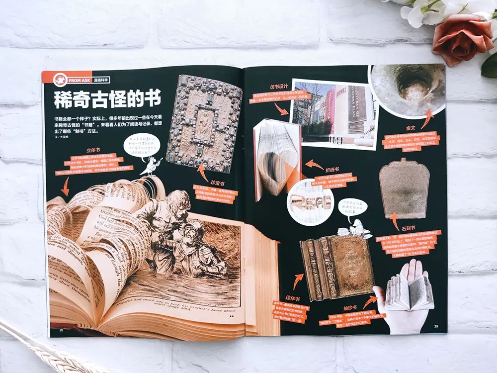 小学英语科普汇总,一张表搞定小学英语