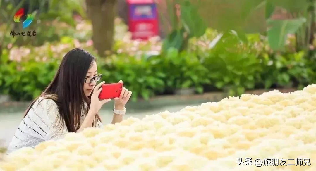 佛山江门广州旅游攻略,佛山去江门旅游攻略