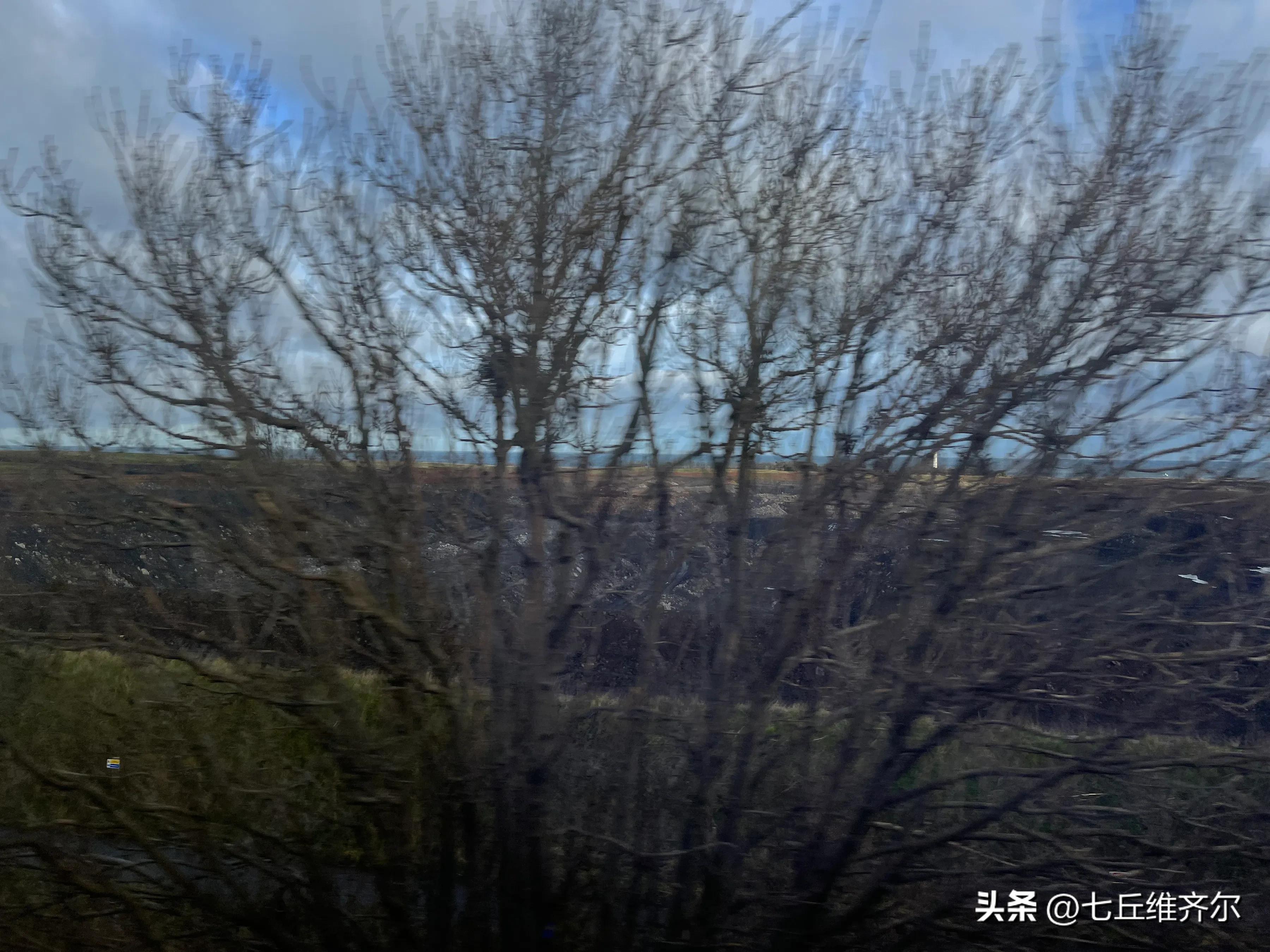 牛羊满圈的上联下联,水肥草美牛羊壮上联