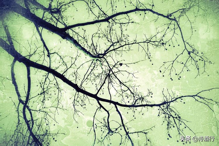 “昔人已乘黄鹤去”，继忠已经离开我们整整一年了