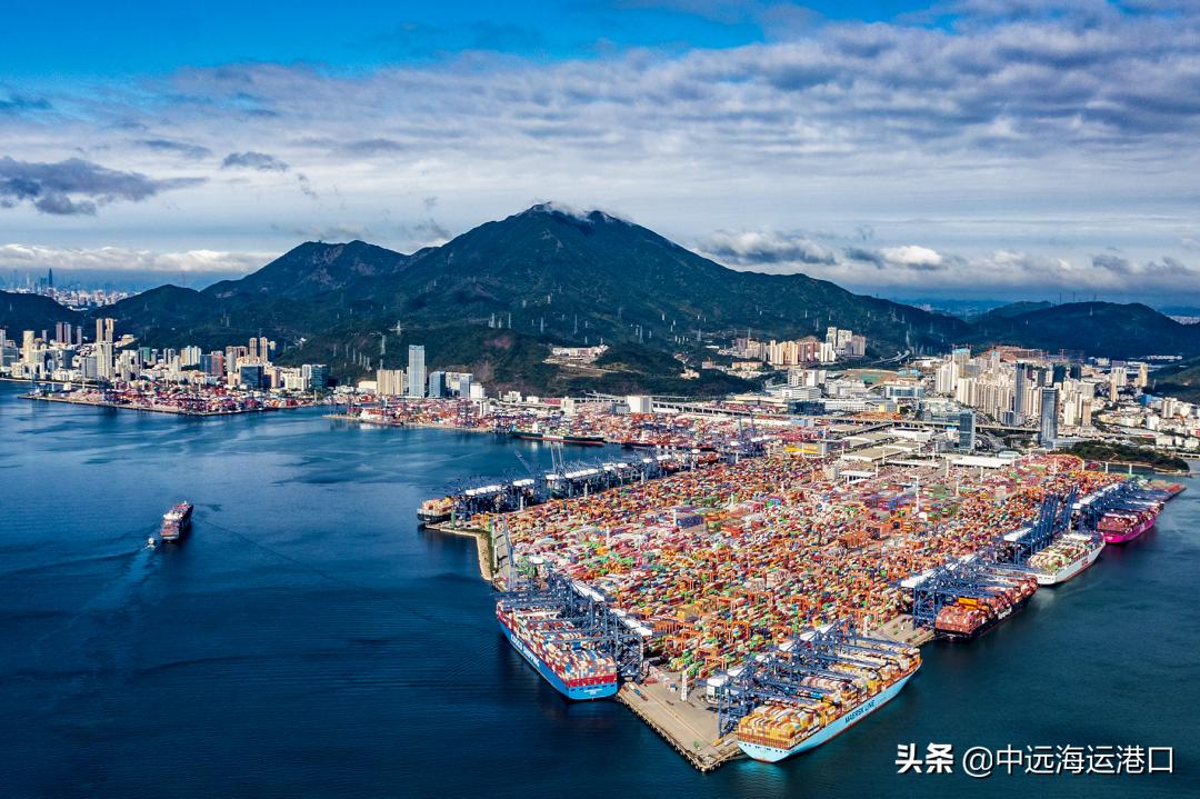 csp码头武汉,csp码头中远海运