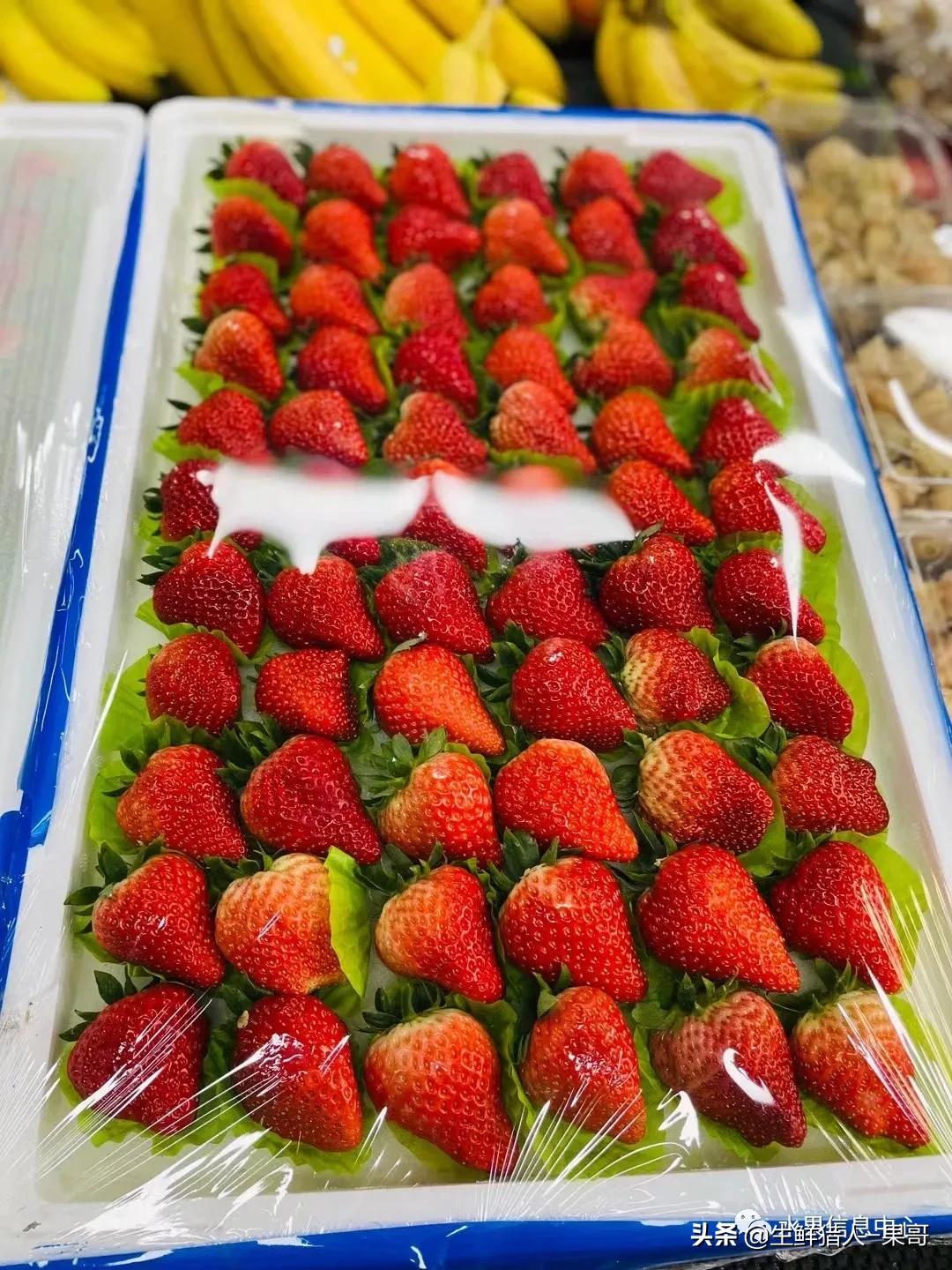 在水果中浆果是分哪几种,水果分类浆果