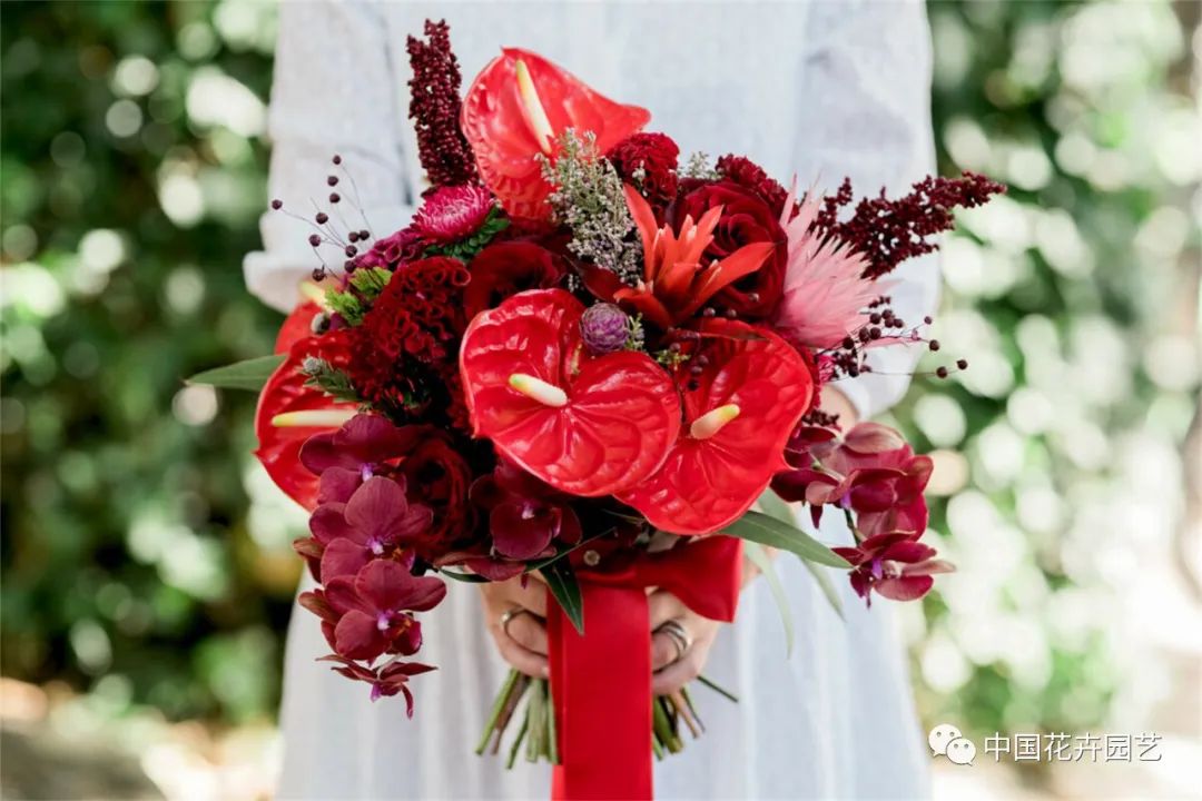 鑺卞崏鍝佺灞曠ず,鏂颁紭鑺卞崏鍝佺灞曠ず