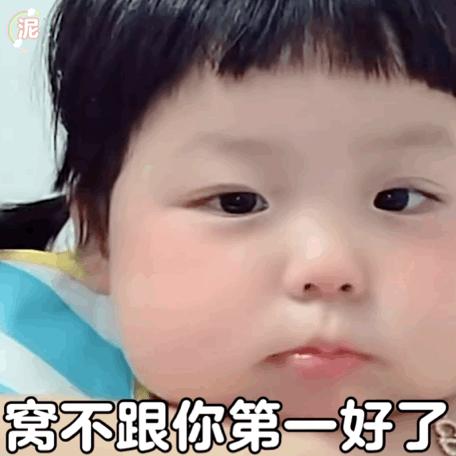 小狗给小狗撑伞表情包,小狗洗澡可爱超萌表情包