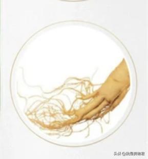 防脱发生发密发最佳产品评测,防脱生发好物推荐