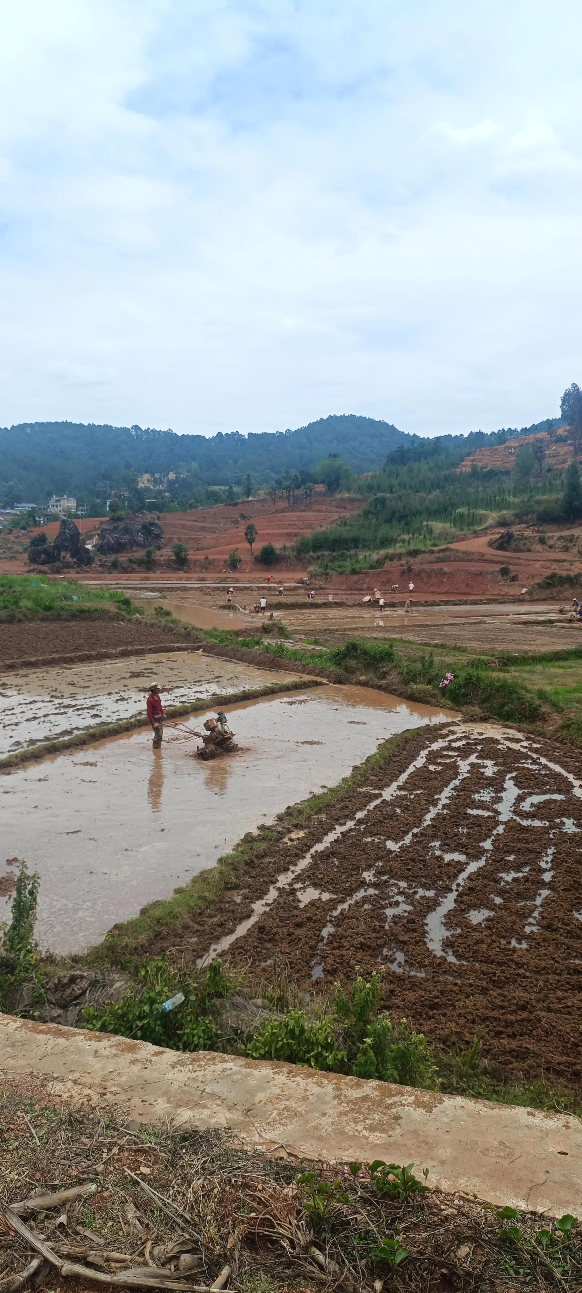 云南旅游10天自由行攻略,来一趟说走就走的云南之旅