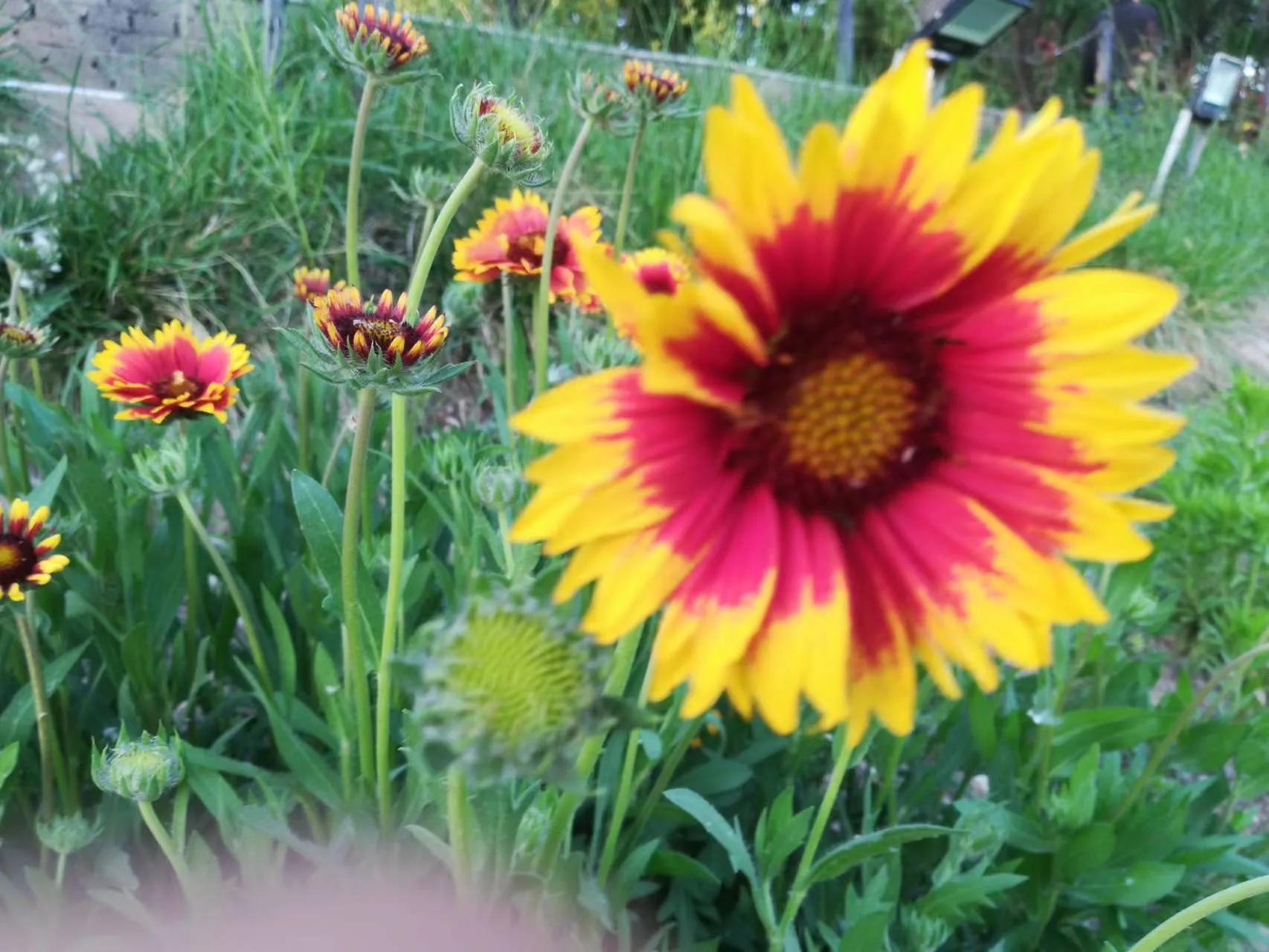 做临时工被拖工资怎么办,体制内临时工被安排很多活怎么办