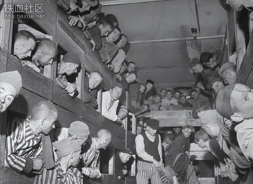 阿迪彪马兄弟之争和解了吗,阿迪彪马亲兄弟