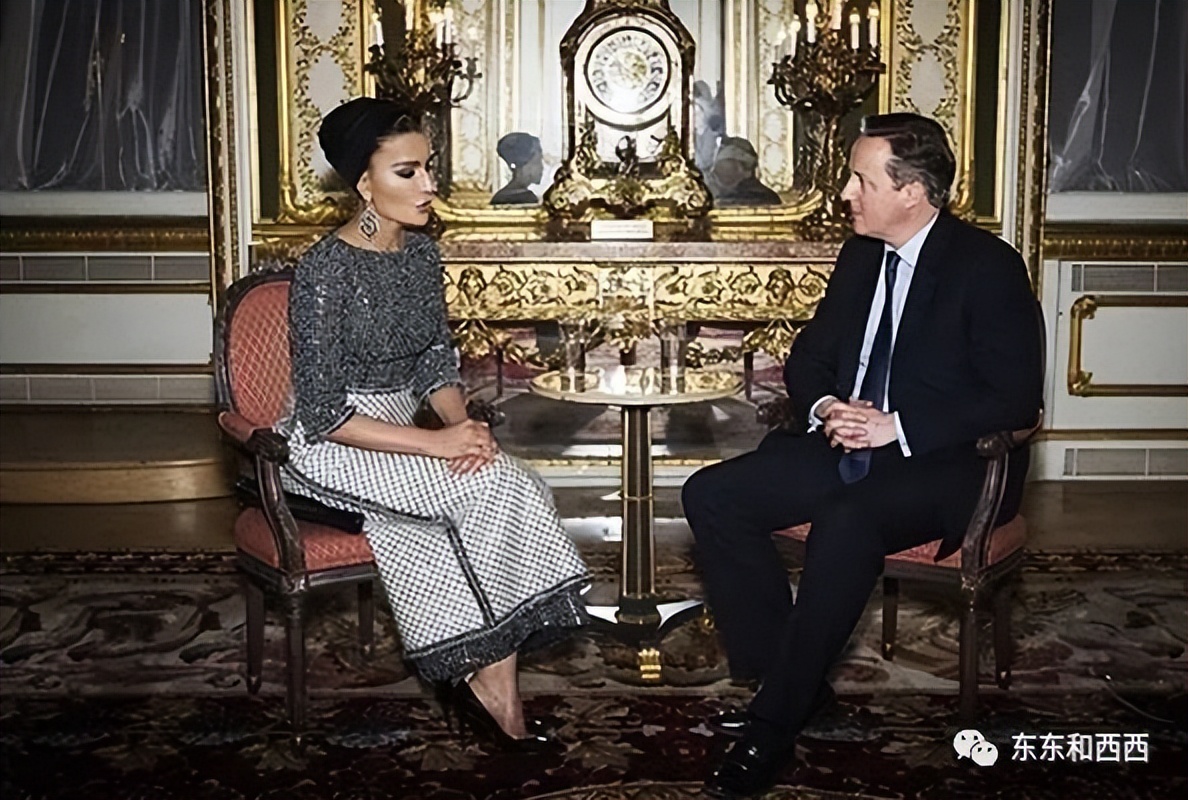 扶自己儿子当元首，独霸老公真爱，卡塔尔太后的手腕小说也不敢写