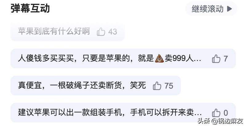 苹果官方挂绳多少钱,苹果挂绳售价引热议