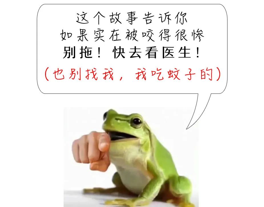 去公园可怕的虫子,去公园如何避免蚊虫叮咬