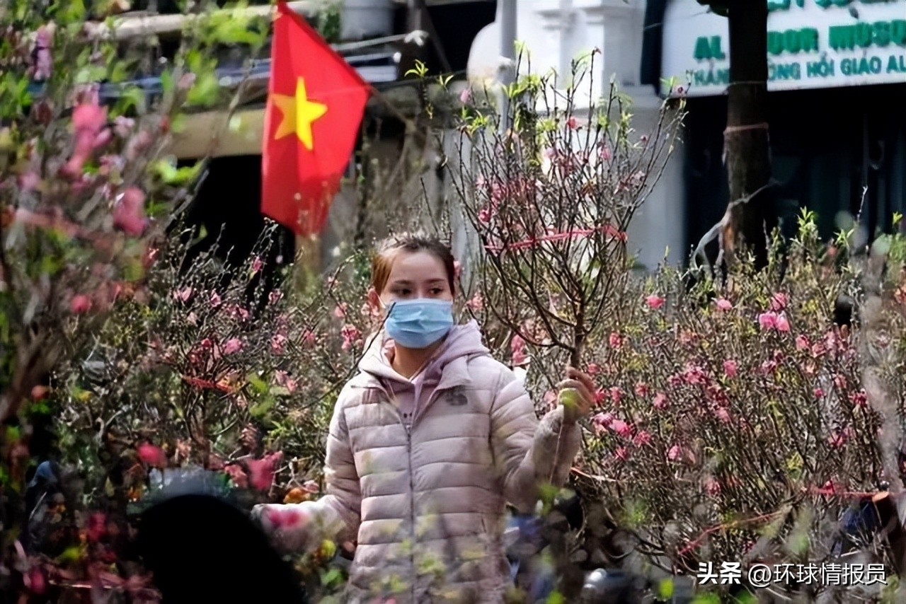 猫为什么没有入选十二生肖,越南为什么把兔年叫猫年