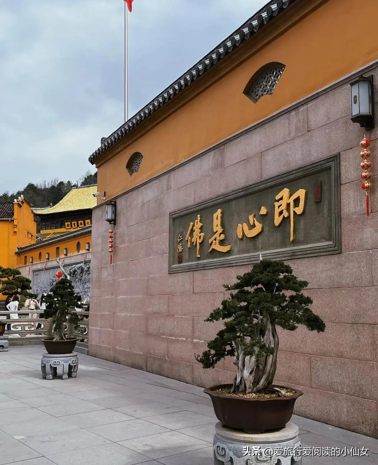 莲花佛国九华山世界上最高的地藏圣像大铜像九华山祈福旅游攻略