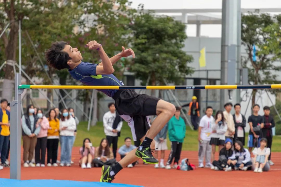 城市交通与物流专业介绍,城市交通与物流学院代码