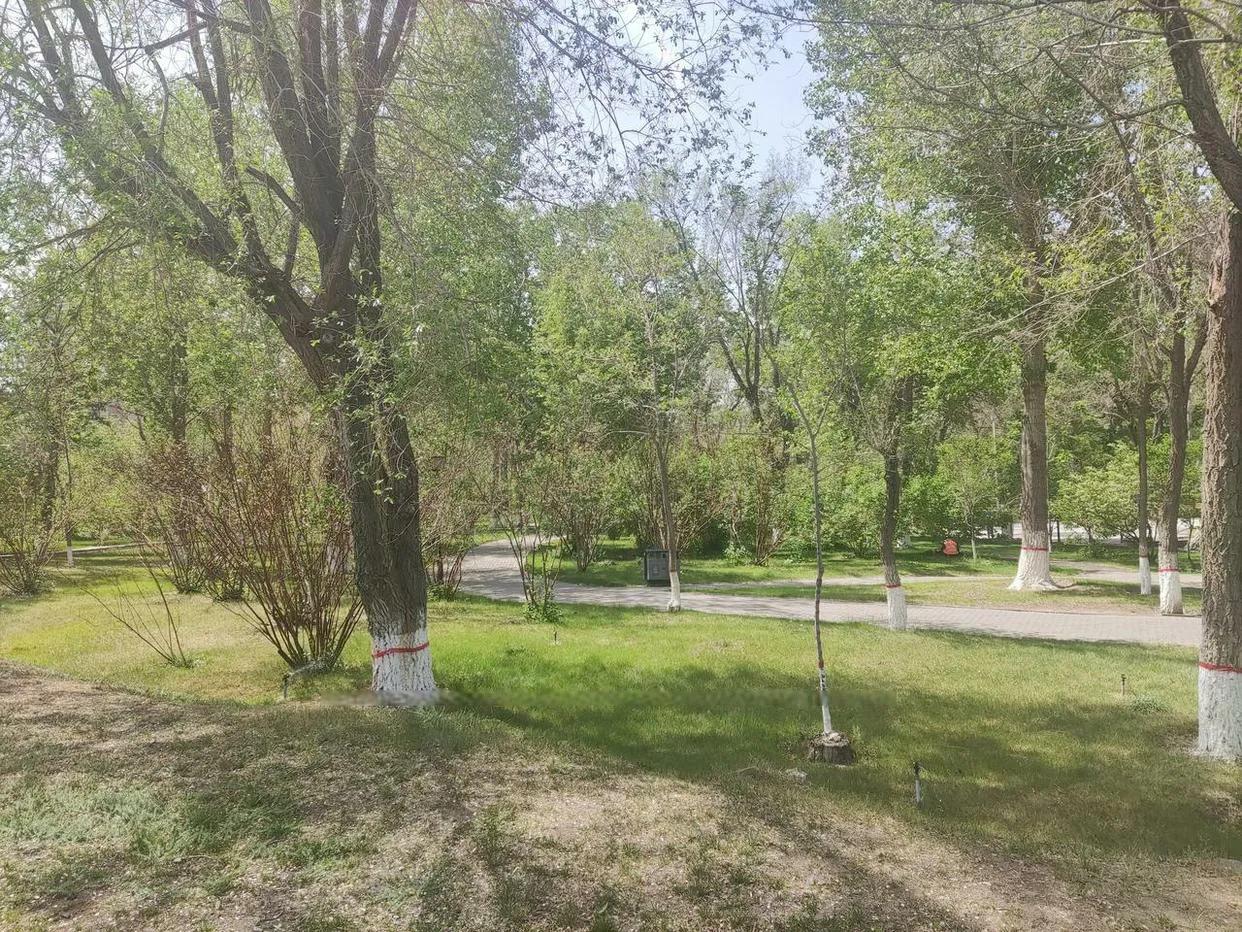 乌鲁木齐2020年十大公园,乌鲁木齐公园数量