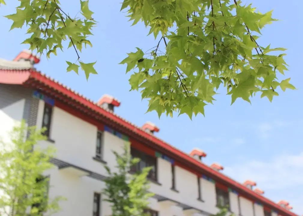 今年这个夏天去哪里避暑,夏天去北京好玩儿吗