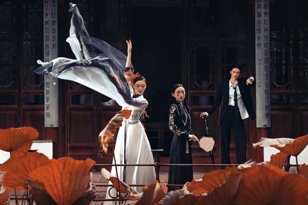 z9对焦测评,z9如何提高预拍的对焦精准